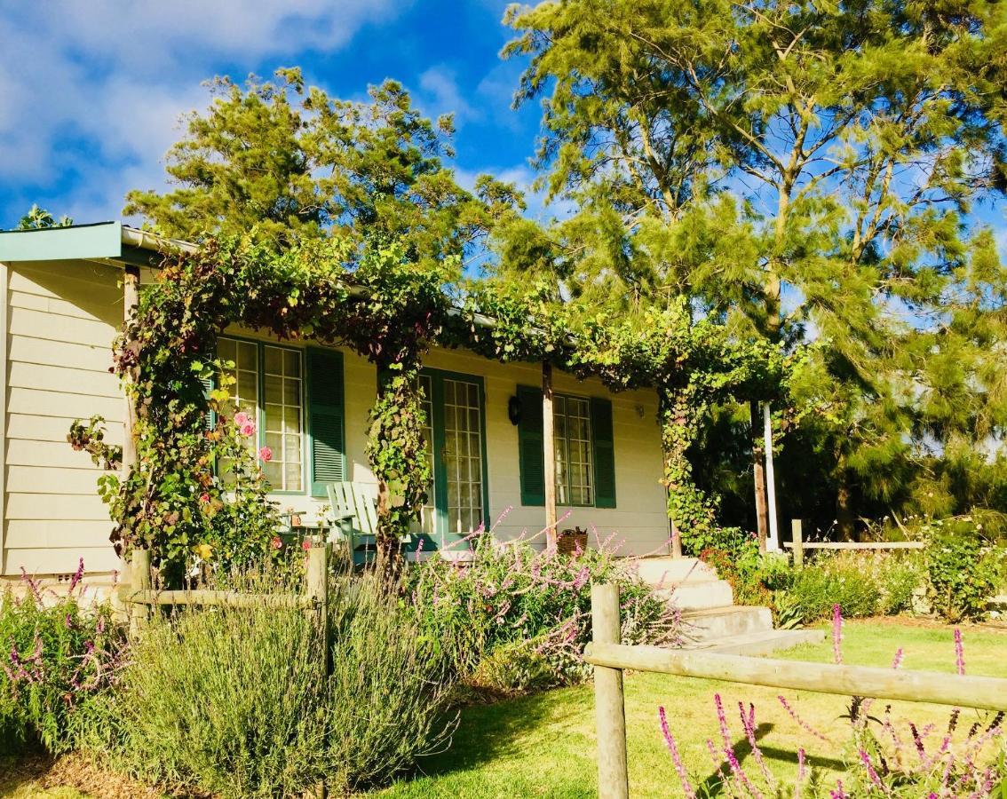 Cheverells Farm Grabouw Luaran gambar