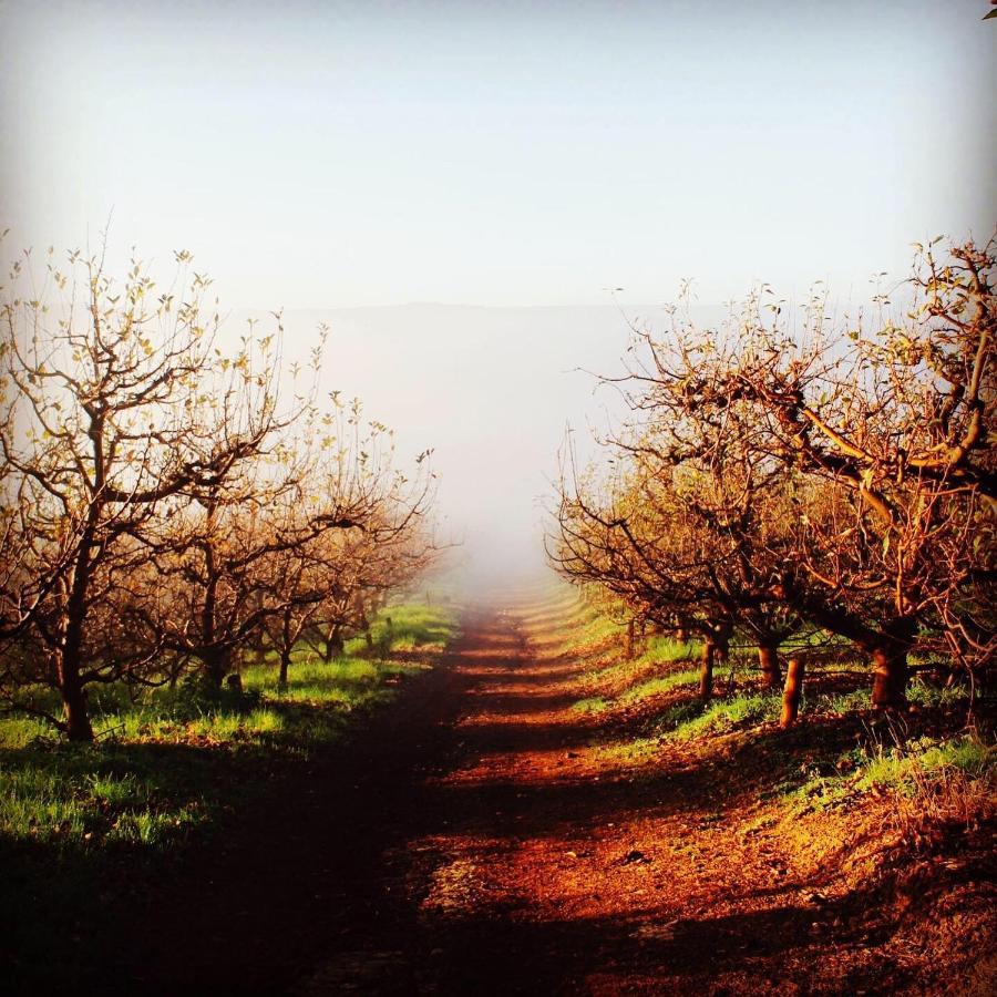 Cheverells Farm Grabouw Luaran gambar