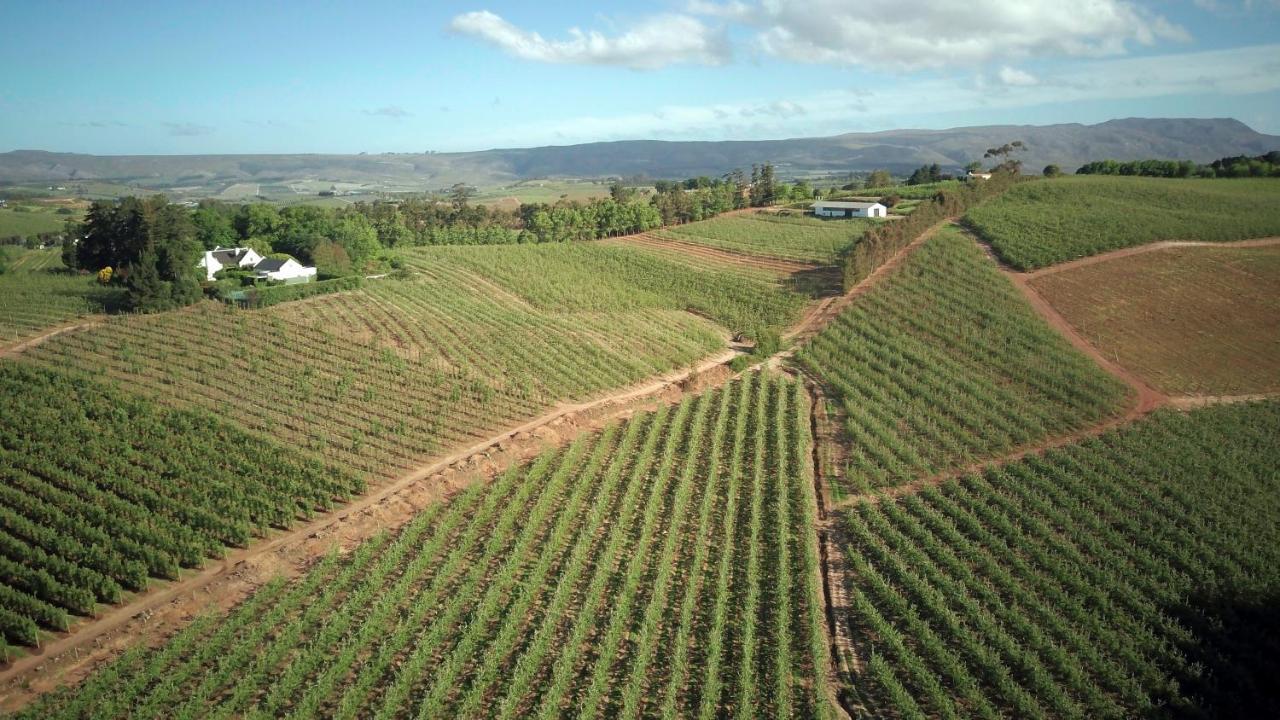 Cheverells Farm Grabouw Luaran gambar