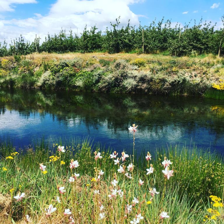 Cheverells Farm Grabouw Luaran gambar