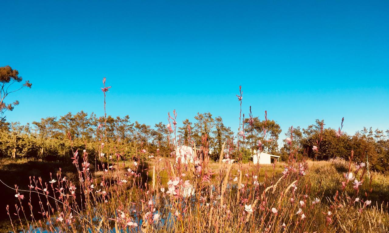 Cheverells Farm Grabouw Luaran gambar